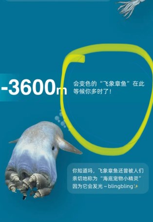 哪个动物可能看到泰坦尼克？6月27日淘宝大赢家每日一猜答案6.27更新